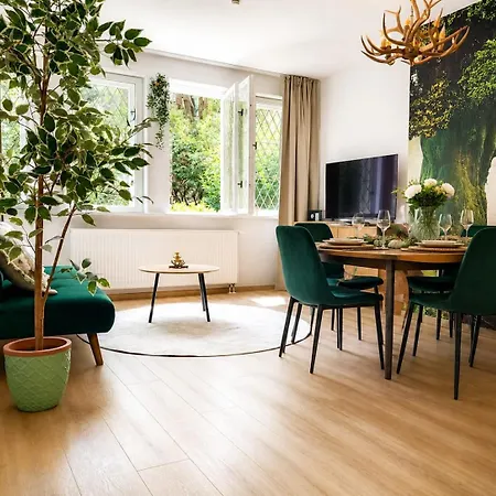 Altstadt-juwel Mit Terrasse & Parkplatz Und 2 Kingsize-betten Lägenhet