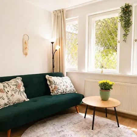 Altstadt-juwel Mit Terrasse & Parkplatz Und 2 Kingsize-betten Lägenhet Wernigerode