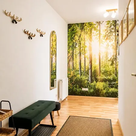 Altstadt-juwel Mit Terrasse & Parkplatz Und 2 Kingsize-betten
