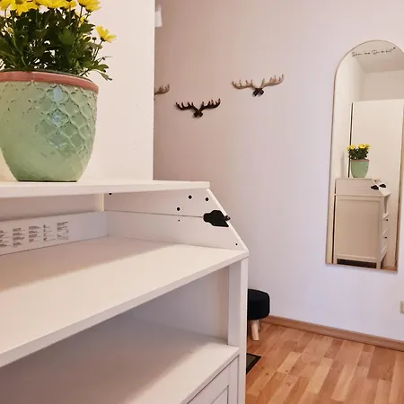 Altstadt-juwel Mit Terrasse & Parkplatz Und 2 Kingsize-betten Lägenhet *